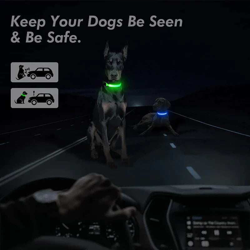 Glow in the Dark LED Adjustable Dog Collar - Safe, Flashing & Waterproof for Nighttime Adventures