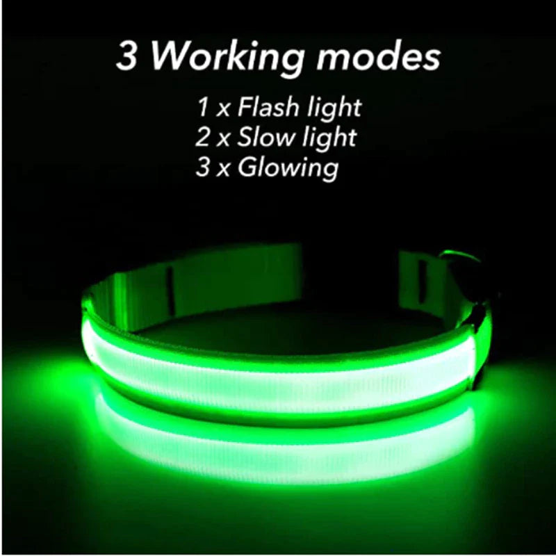 Glow in the Dark LED Adjustable Dog Collar - Safe, Flashing & Waterproof for Nighttime Adventures