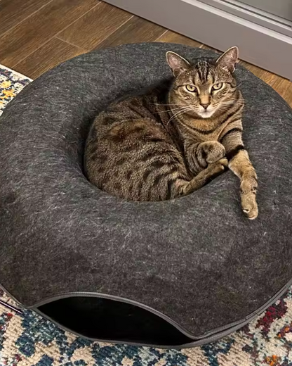 The Cozy Curl Donut Tunnel