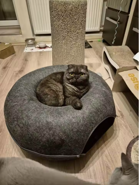 The Cozy Curl Donut Tunnel