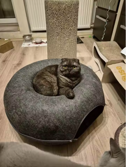 The Cozy Curl Donut Tunnel