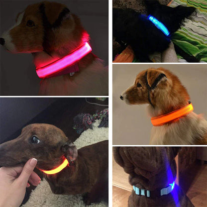 Glow in the Dark LED Adjustable Dog Collar - Safe, Flashing & Waterproof for Nighttime Adventures