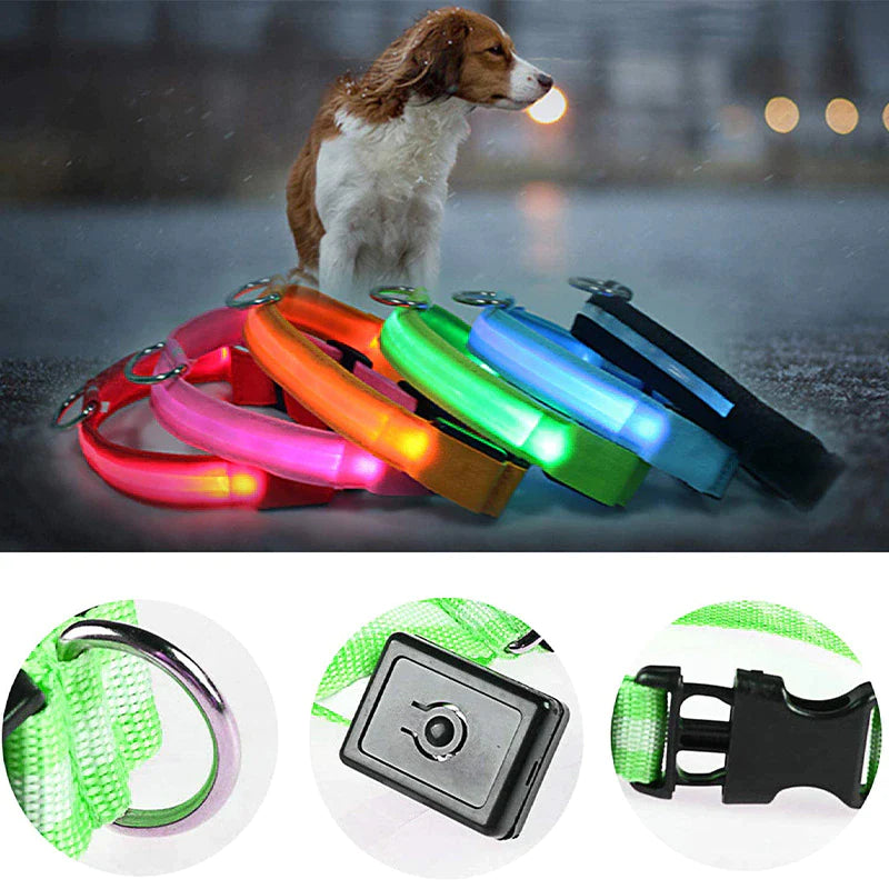 Glow in the Dark LED Adjustable Dog Collar - Safe, Flashing & Waterproof for Nighttime Adventures