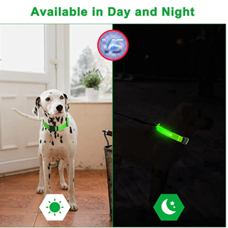 Glow in the Dark LED Adjustable Dog Collar - Safe, Flashing & Waterproof for Nighttime Adventures